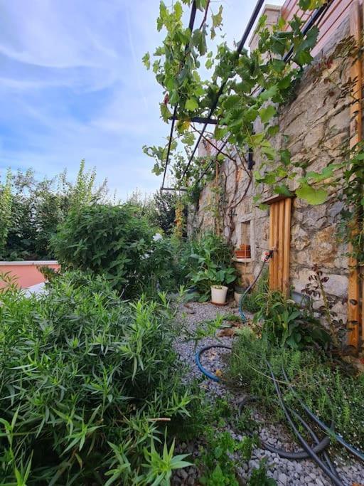 Hisa Idej Apartman Sežana Kültér fotó