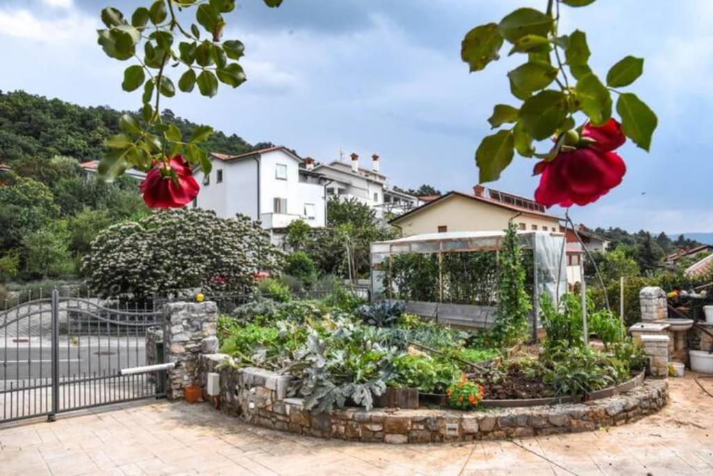 Hisa Idej Apartman Sežana Kültér fotó